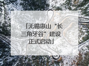 无锡惠山“长三角牙谷”建设正式启动