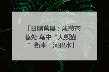 日照莒县：蒹葭苍苍处 鸟中“大熊猫”衔来一河碧水