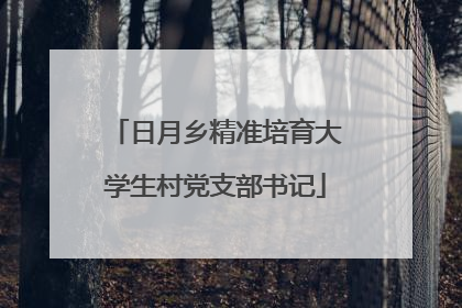 日月乡精准培育大学生村党支部书记