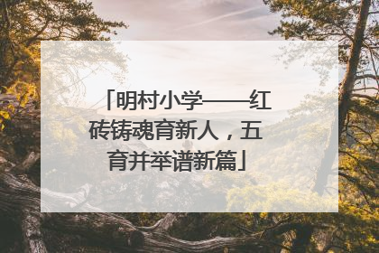 明村小学——红砖铸魂育新人，五育并举谱新篇