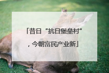 昔日“抗日堡垒村”，今朝富民产业新