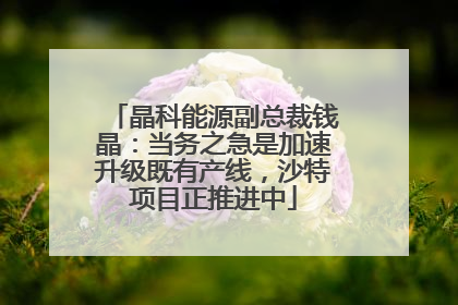 晶科能源副总裁钱晶：当务之急是加速升级既有产线，沙特项目正推进中