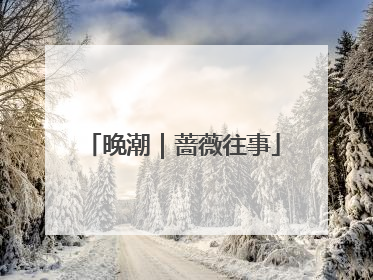 晚潮｜蔷薇往事