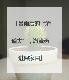 暴雨后的“清道夫”，激流勇进保家园