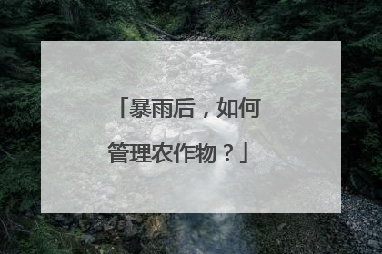 暴雨后，如何管理农作物？