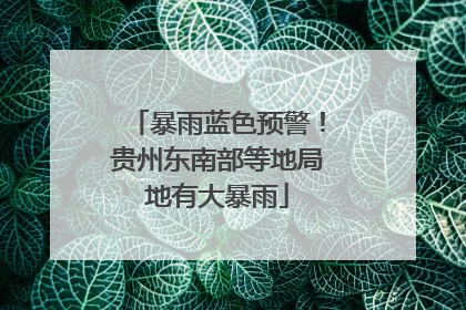 暴雨蓝色预警！贵州东南部等地局地有大暴雨
