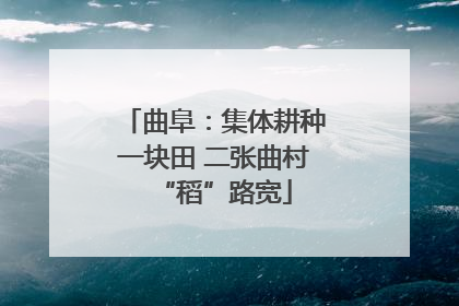 曲阜：集体耕种一块田 二张曲村“稻”路宽