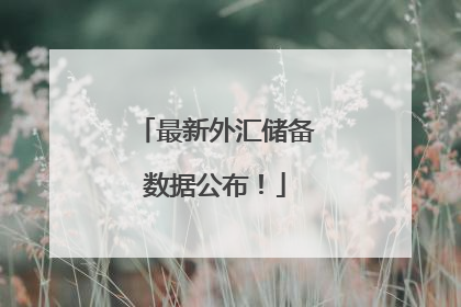 最新外汇储备数据公布！