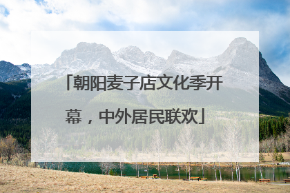 朝阳麦子店文化季开幕，中外居民联欢