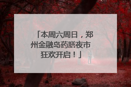 本周六周日，郑州金融岛药膳夜市狂欢开启！