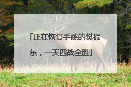 正在恢复手感的樊振东，一天四战全胜
