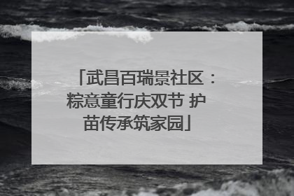 武昌百瑞景社区：粽意童行庆双节 护苗传承筑家园