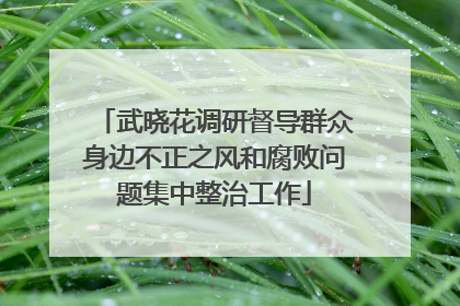 武晓花调研督导群众身边不正之风和腐败问题集中整治工作