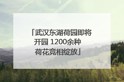 武汉东湖荷园即将开园 1200余种荷花竞相绽放
