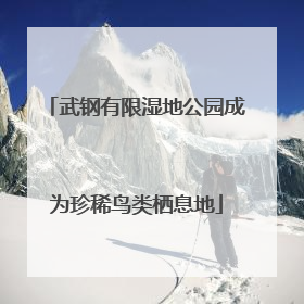 武钢有限湿地公园成为珍稀鸟类栖息地