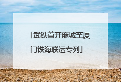武铁首开麻城至厦门铁海联运专列