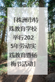 株洲市特殊教育学校举行2025年劳动实践教育暨杨梅节活动