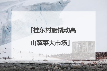 桂东村厨撬动高山蔬菜大市场