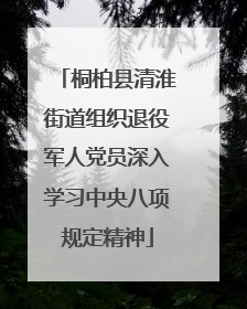 桐柏县清淮街道组织退役军人党员深入学习中央八项规定精神