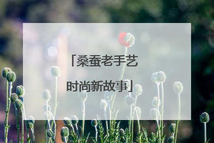 桑蚕老手艺 时尚新故事