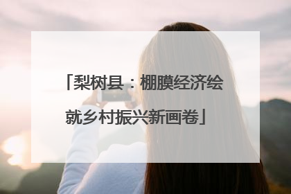 梨树县：棚膜经济绘就乡村振兴新画卷