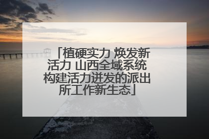 植硬实力 焕发新活力 山西全域系统构建活力迸发的派出所工作新生态