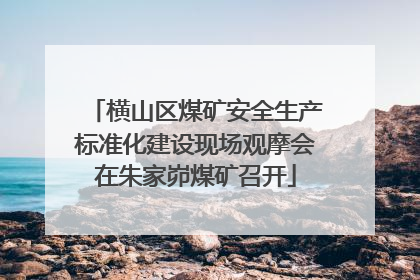 横山区煤矿安全生产标准化建设现场观摩会在朱家峁煤矿召开