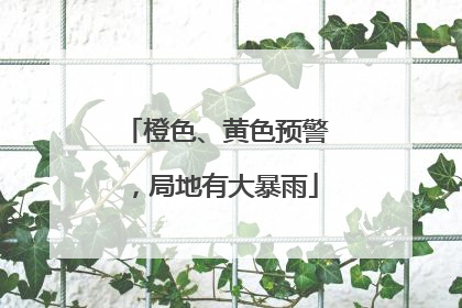 橙色、黄色预警，局地有大暴雨
