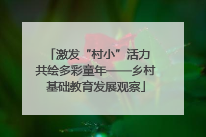 激发“村小”活力 共绘多彩童年——乡村基础教育发展观察