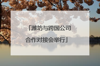 潍坊与跨国公司合作对接会举行