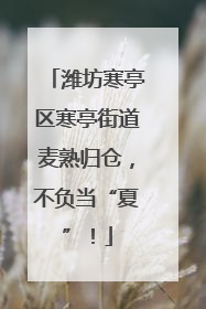 潍坊寒亭区寒亭街道麦熟归仓，不负当“夏”！