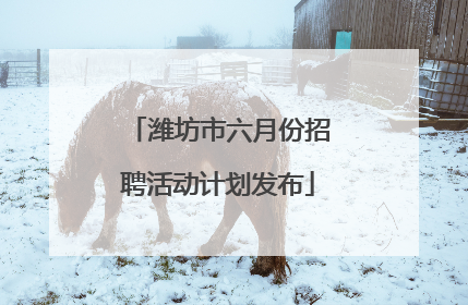 潍坊市六月份招聘活动计划发布