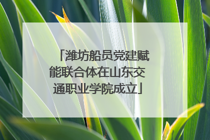 潍坊船员党建赋能联合体在山东交通职业学院成立