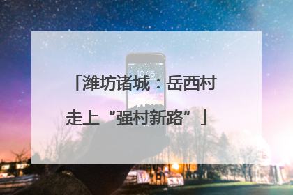 潍坊诸城：岳西村走上“强村新路”