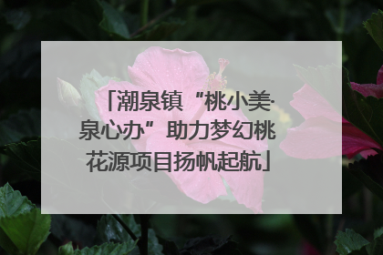潮泉镇“桃小美·泉心办”助力梦幻桃花源项目扬帆起航