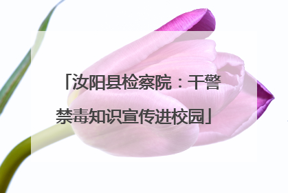 汝阳县检察院：干警禁毒知识宣传进校园