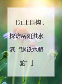 江上巨构：探访岳阳洪水港“钢铁水骆驼”
