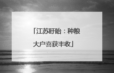 江苏盱眙：种粮大户喜获丰收