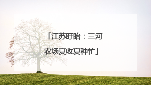 江苏盱眙：三河农场夏收夏种忙