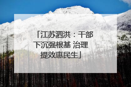 江苏泗洪：干部下沉强根基 治理提效惠民生