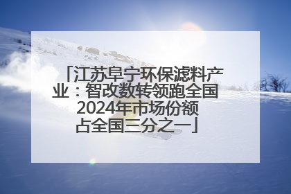 江苏阜宁环保滤料产业：智改数转领跑全国 2024年市场份额占全国三分之一