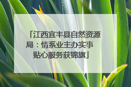 江西宜丰县自然资源局：情系业主办实事 贴心服务获锦旗