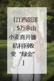 江西彭泽：5万余亩小麦喜开镰 秸秆回收变“绿金”
