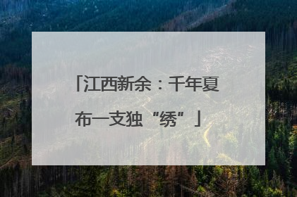 江西新余：千年夏布一支独“绣”