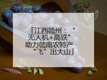 江西赣州：“无人机+高铁”助力赣南农特产“飞”出大山