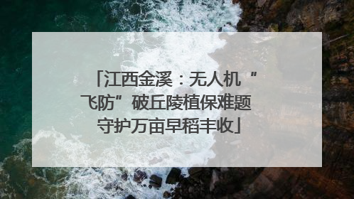江西金溪：无人机“飞防”破丘陵植保难题 守护万亩早稻丰收