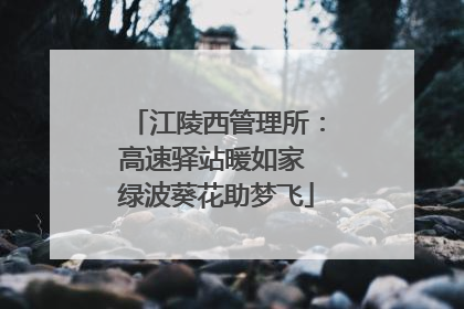 江陵西管理所：高速驿站暖如家 绿波葵花助梦飞