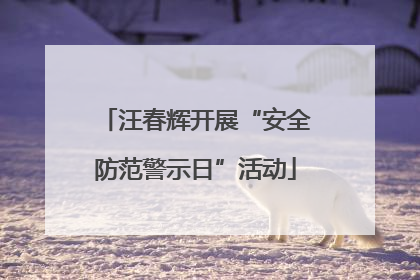 汪春辉开展“安全防范警示日”活动