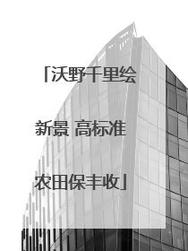 沃野千里绘新景 高标准农田保丰收
