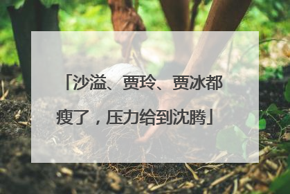 沙溢、贾玲、贾冰都瘦了，压力给到沈腾